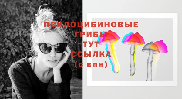 PSILOCYBIN Новокубанск