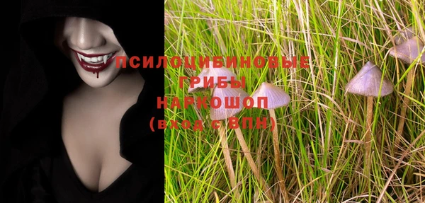 гидра Абаза