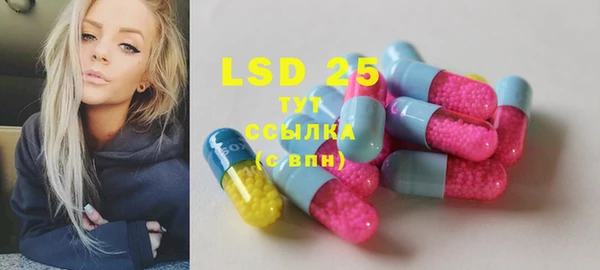гидра Абаза