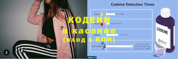 трава Новозыбков