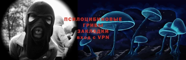 PSILOCYBIN Новокубанск