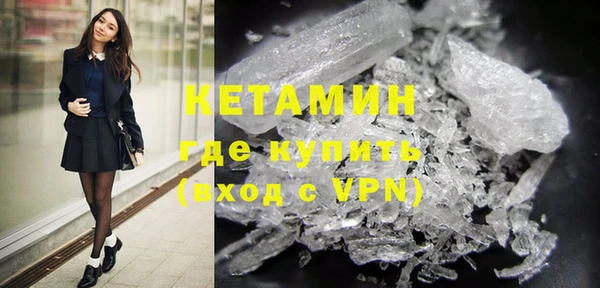 трава Новозыбков