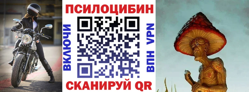 Псилоцибиновые грибы Cubensis  блэк спрут рабочий сайт  Руза 
